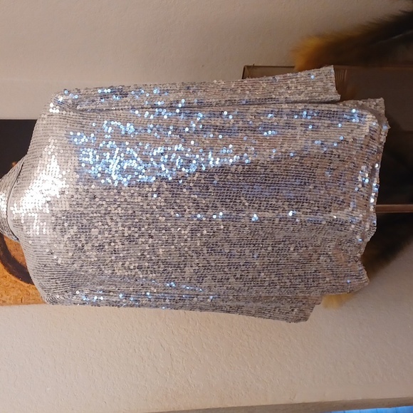 Silver Sequin Jacket - Picture 6 of 6